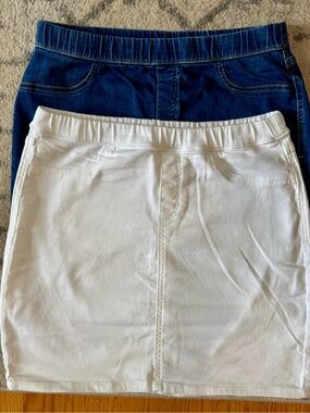 Style & Co Skirts